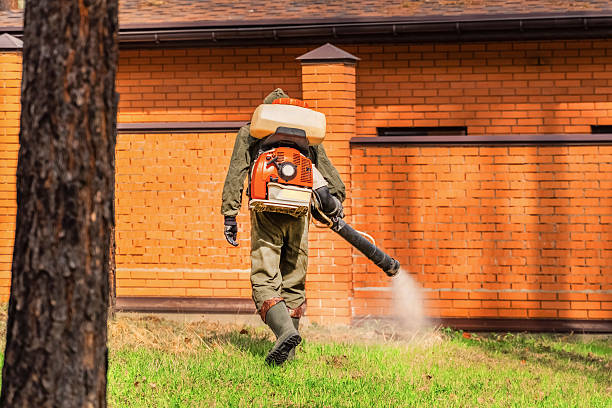 Trusted Termite Control service in Palmetto Bay, FL - Nex Pest Control